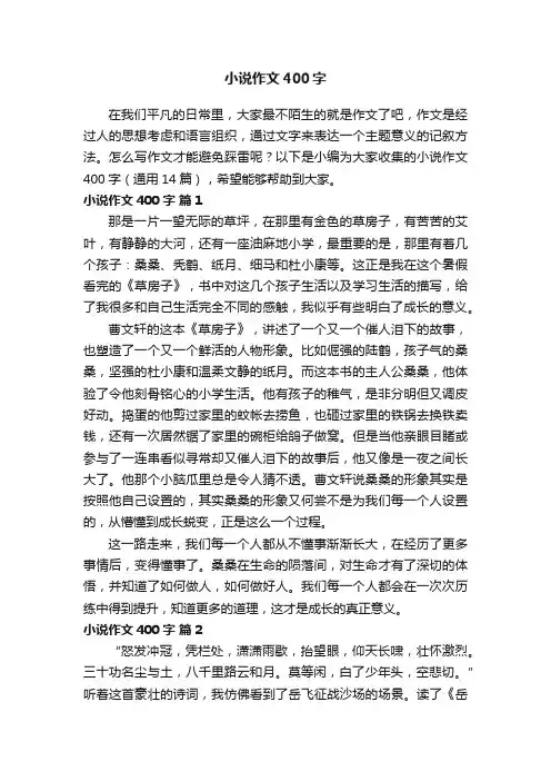 小说作文400字（通用14篇）