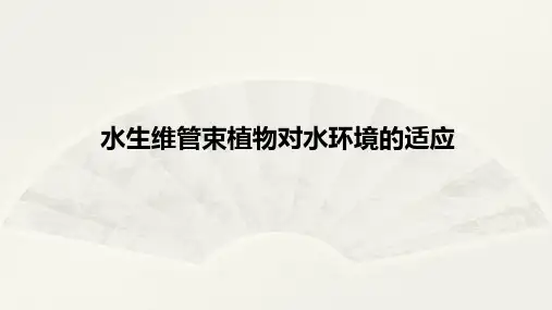 水生维管束植物对水环境的适应