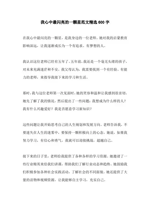 我心中最闪亮的一颗星范文精选600字