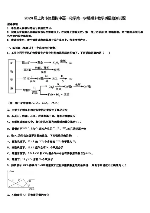 2024届上海市复旦附中高一化学第一学期期末教学质量检测试题含解析