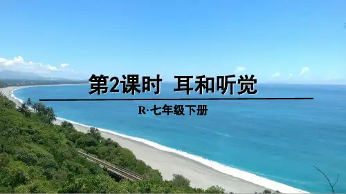 《耳和听觉》PPT课件【精品】