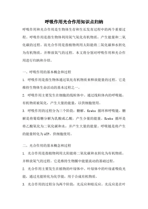 呼吸作用光合作用知识点归纳