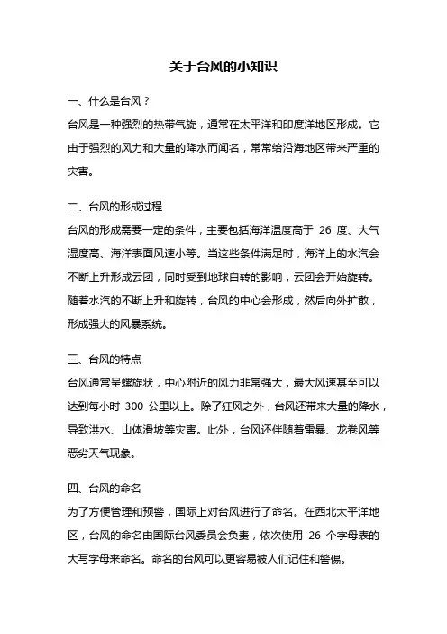 关于台风的小知识