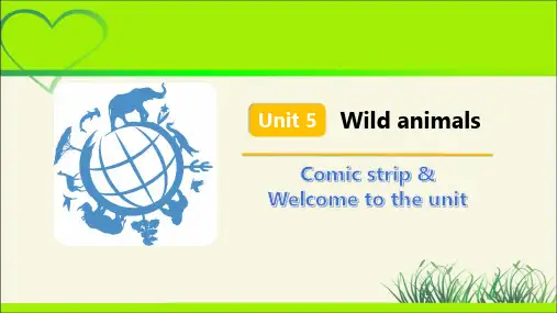 牛津译林版八年级英语上册Unit 5 Comic strip 示范公开课教学课件