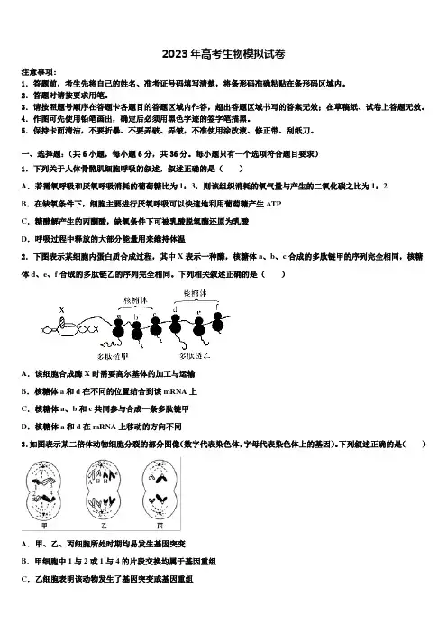 2023届广东省普宁市华美学校高三下学期第五次调研考试生物试题含解析