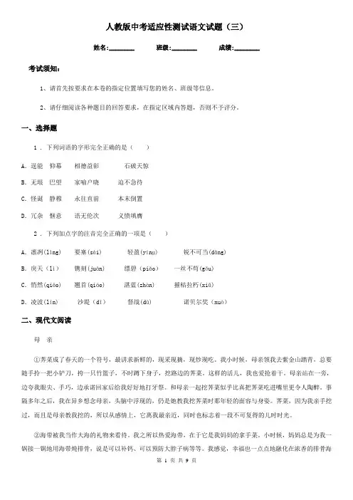 人教版中考适应性测试语文试题(三)