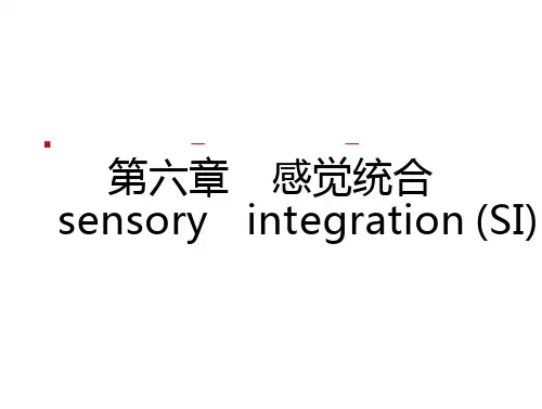 第六章 感觉统合