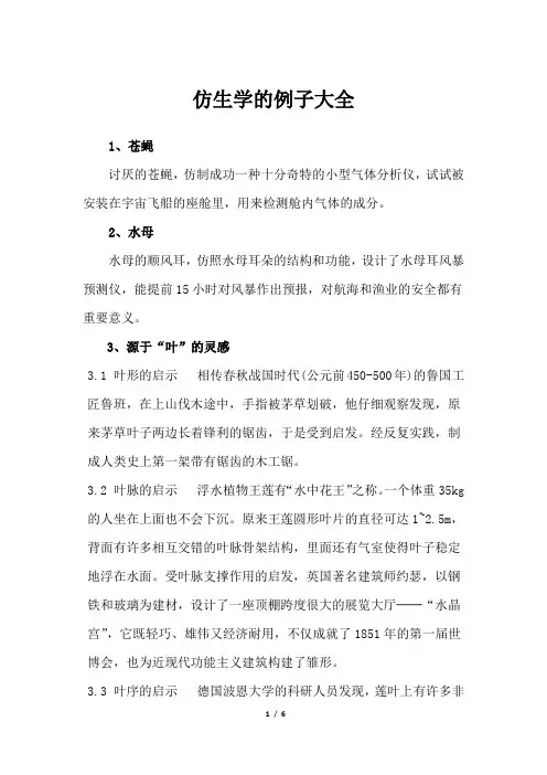 仿生学的例子大全