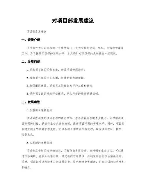 对项目部发展建议