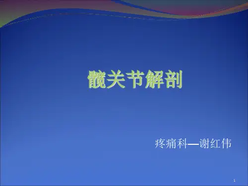 髋关节解剖PPT演示幻灯片