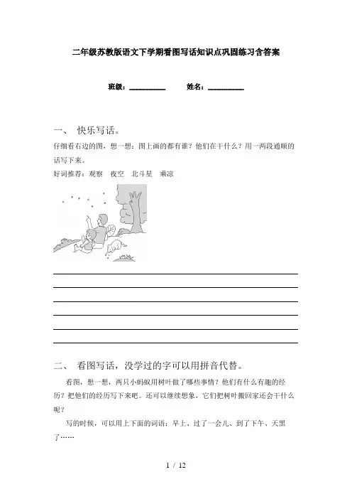 二年级苏教版语文下学期看图写话知识点巩固练习含答案