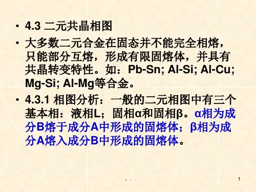 二元共晶相图ppt课件