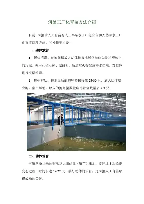 河蟹工厂化育苗方法介绍
