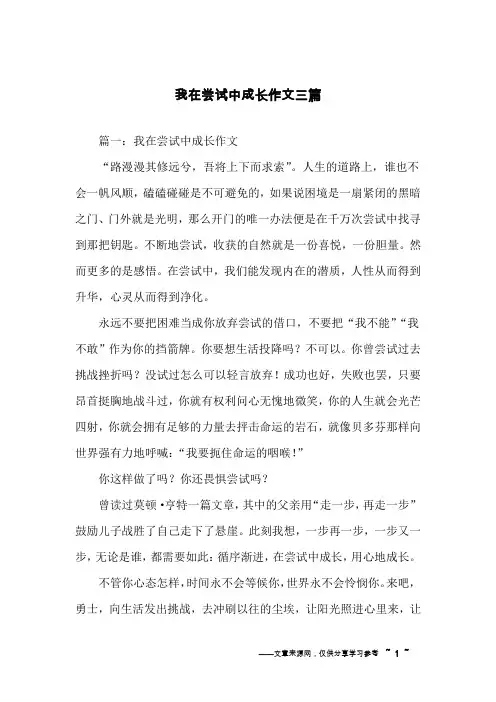 我在尝试中成长作文三篇