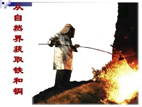 从自然界中获取铁和铜PPT课件4 苏教版