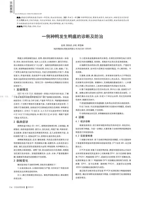 一例种鸭发生鸭瘟的诊断及防治