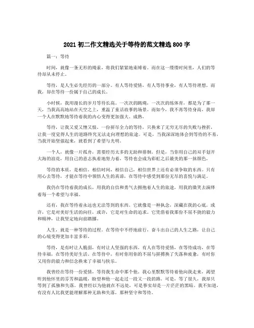 2021初二作文精选关于等待的范文精选800字