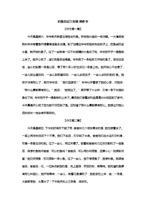 钓鱼日记三年级300字