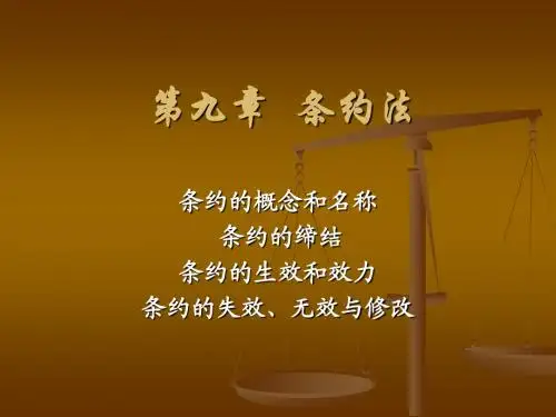 条约法(上)分解