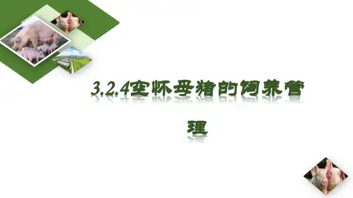 空怀母猪的饲养管理课件(共14张PPT)《猪生产》