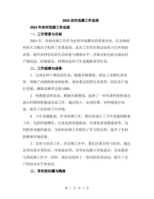 2024农村改厕工作总结