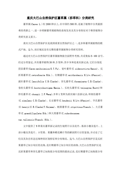 重庆大巴山自然保护区薹草属(莎草科)分类研究