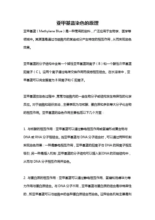 亚甲基蓝染色的原理