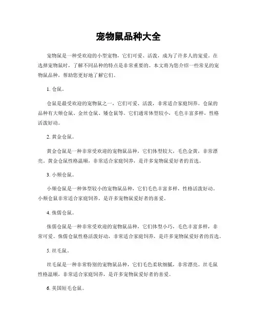 宠物鼠品种大全