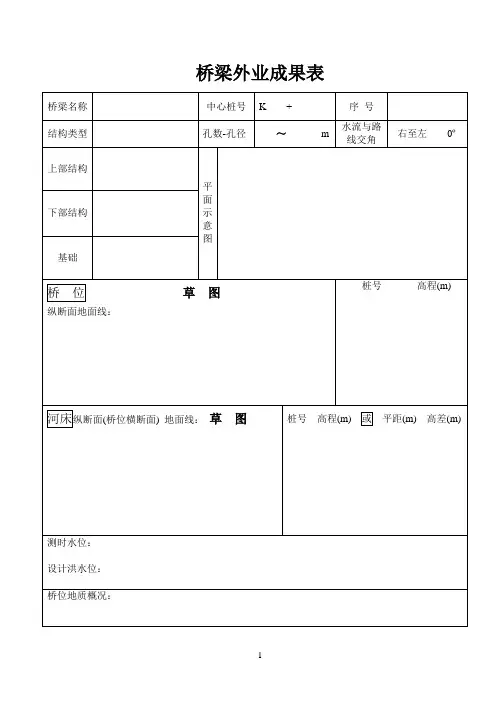 外业调查记录薄(桥梁外业成果表)