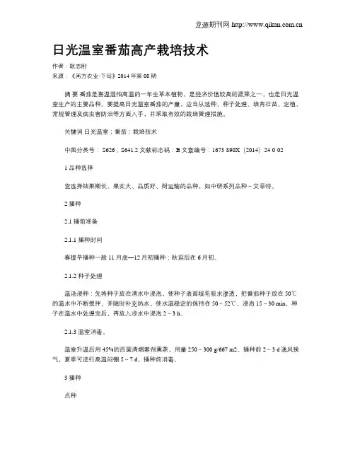 日光温室番茄高产栽培技术
