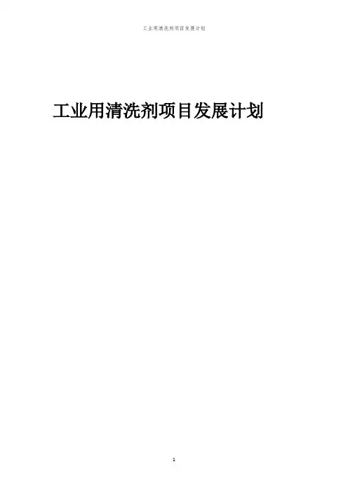 2024年工业用清洗剂项目发展计划
