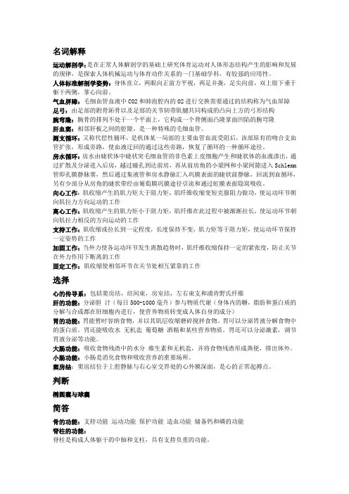 运动解剖学