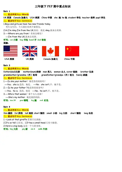 新版PEP三年级下期中复习归纳