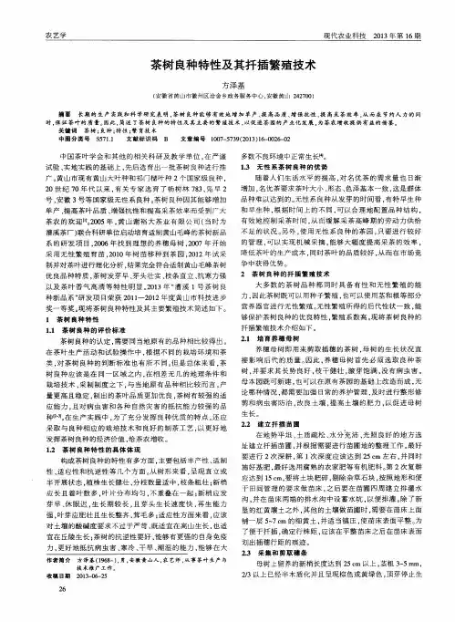 茶树良种特性及其扦插繁殖技术