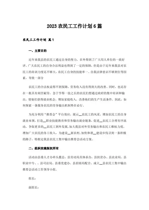 2023农民工工作计划6篇