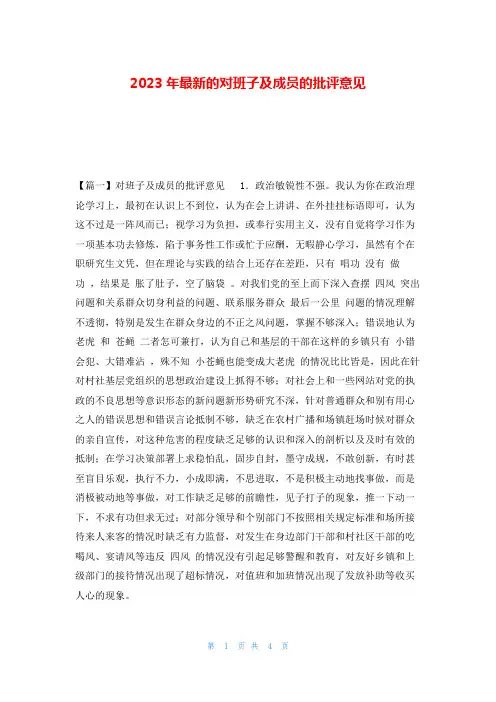 2023年最新的对班子及成员的批评意见