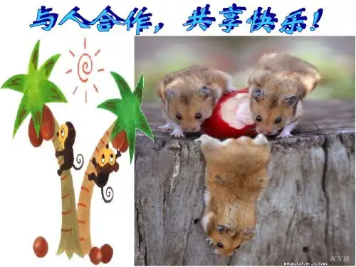 团结合作班会《与人合作,共享快乐》PPT课件