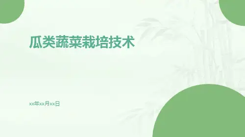 瓜类蔬菜栽培技术