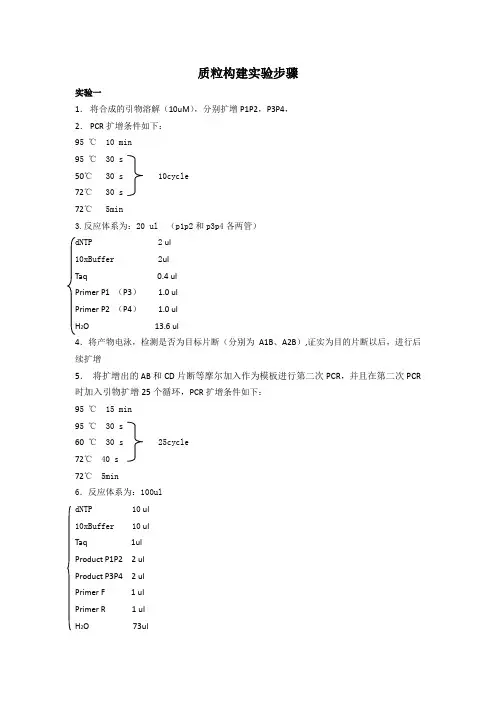 质粒构建实验步骤1