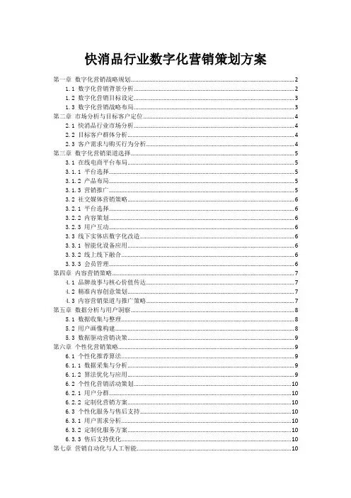 快消品行业数字化营销策划方案