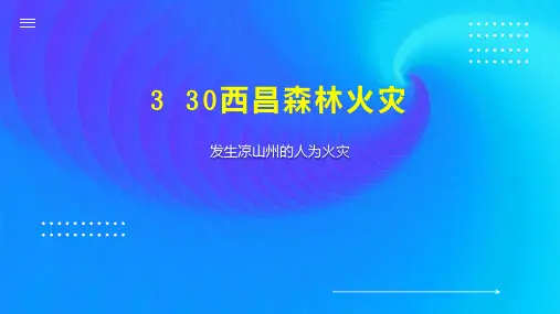 3 30西昌森林火灾