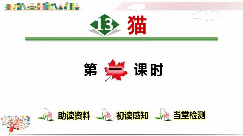 部编版四年级语文下册《13.猫》课件