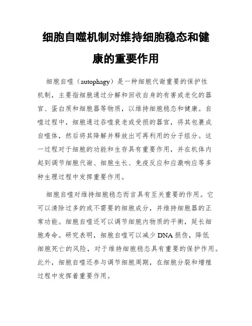 细胞自噬机制对维持细胞稳态和健康的重要作用