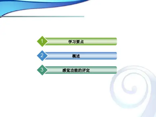 康复评定感觉功能评定