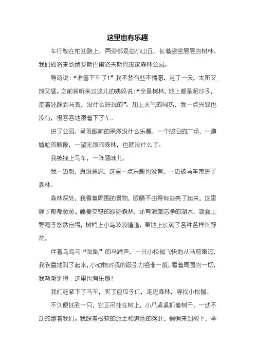 初三作文：这里也有乐趣初中作文800字