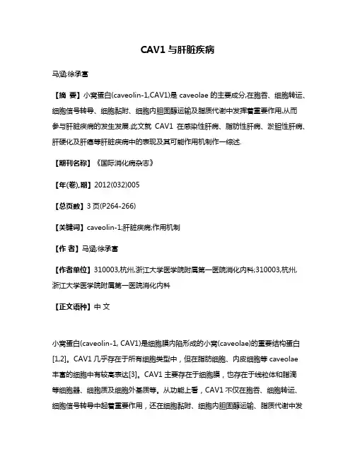 CAV1与肝脏疾病