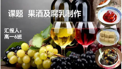 高中生物课件-研究性学习 PPT