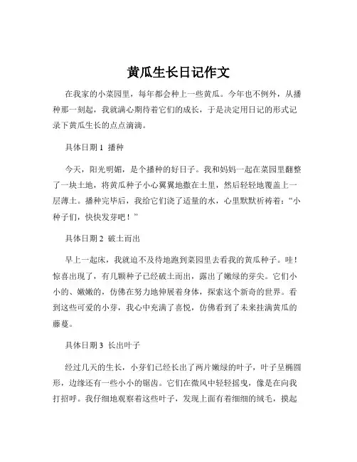 黄瓜生长日记作文
