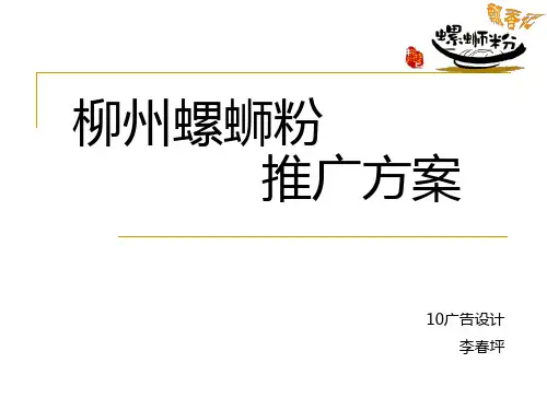 柳州螺蛳粉推广方案(ppt文档可编辑修改)