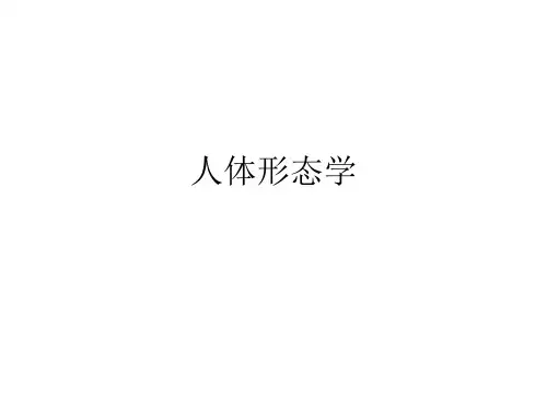 2.人体形态学